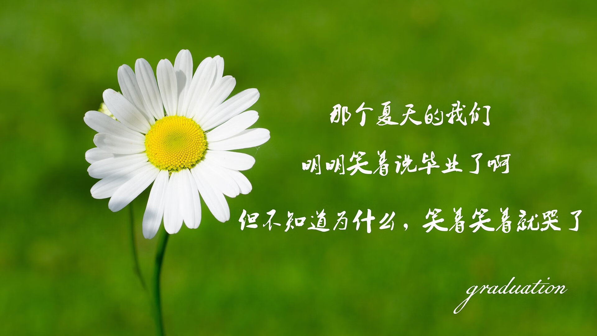 APEX英雄 新星选手崛起备受期待，apex l星