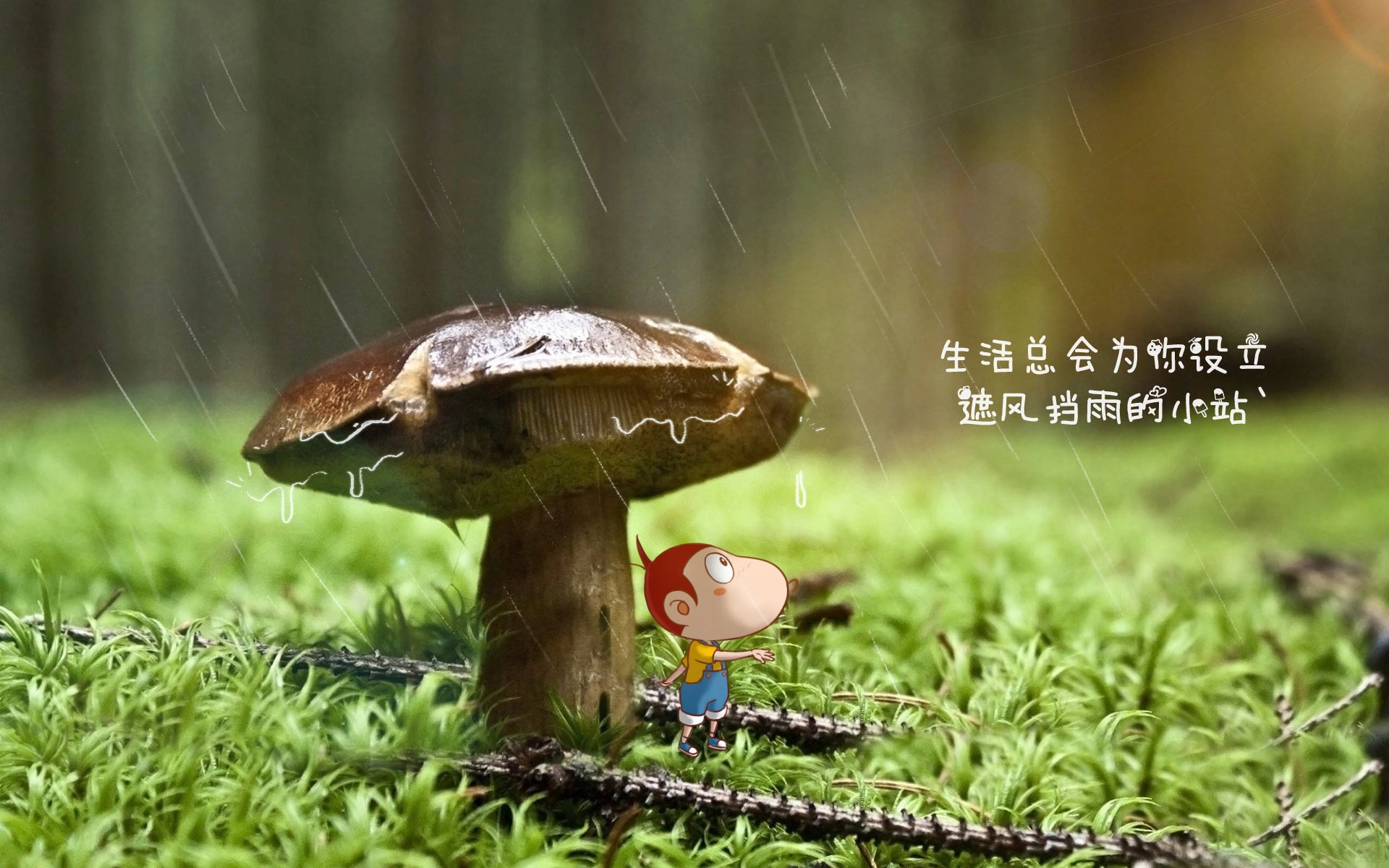 _场馆环境新升级：绿色环保理念引领未来_，绿色环保展台