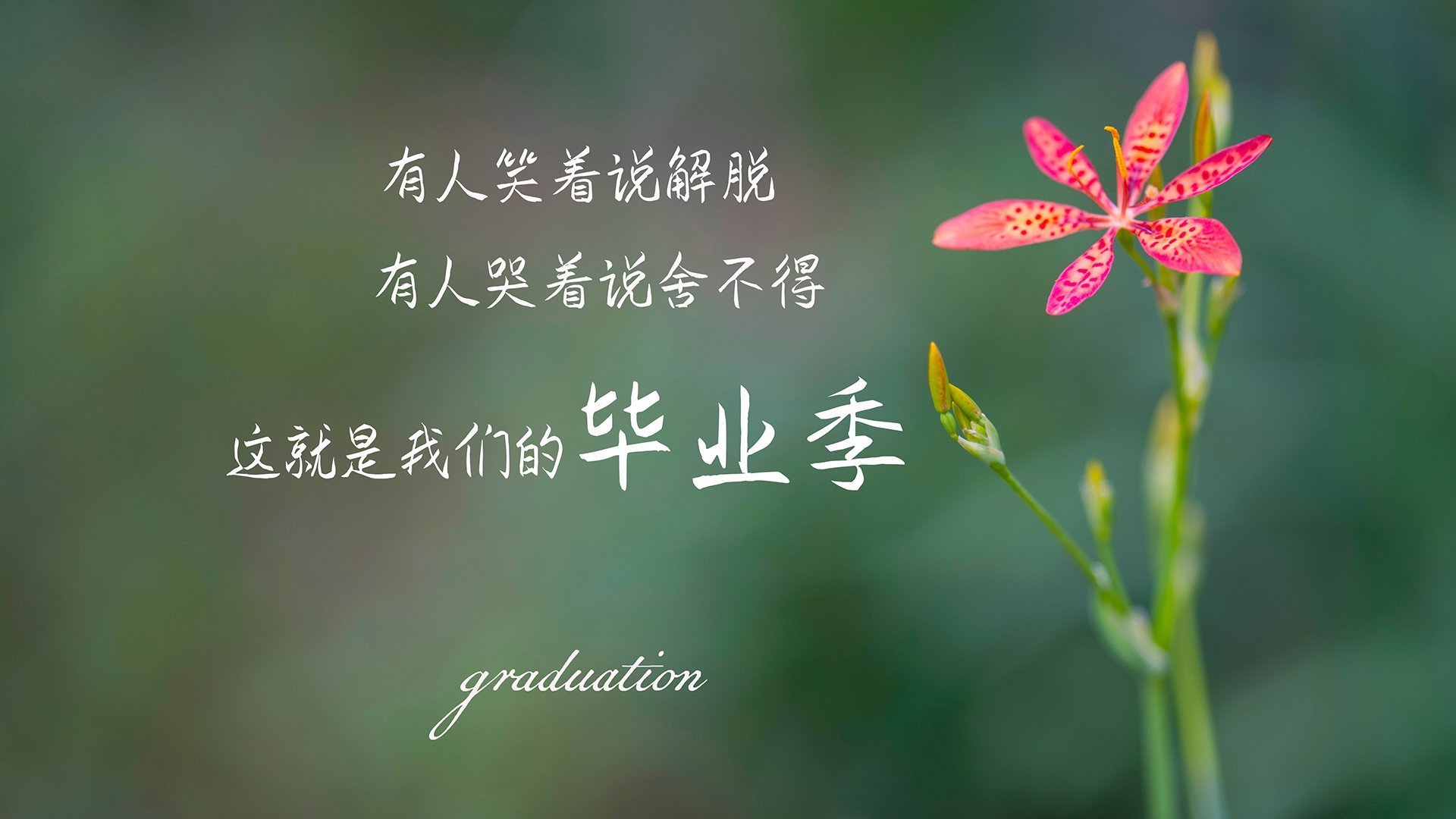 出台瑜伽行业标准，规范市场秩序，瑜伽经营