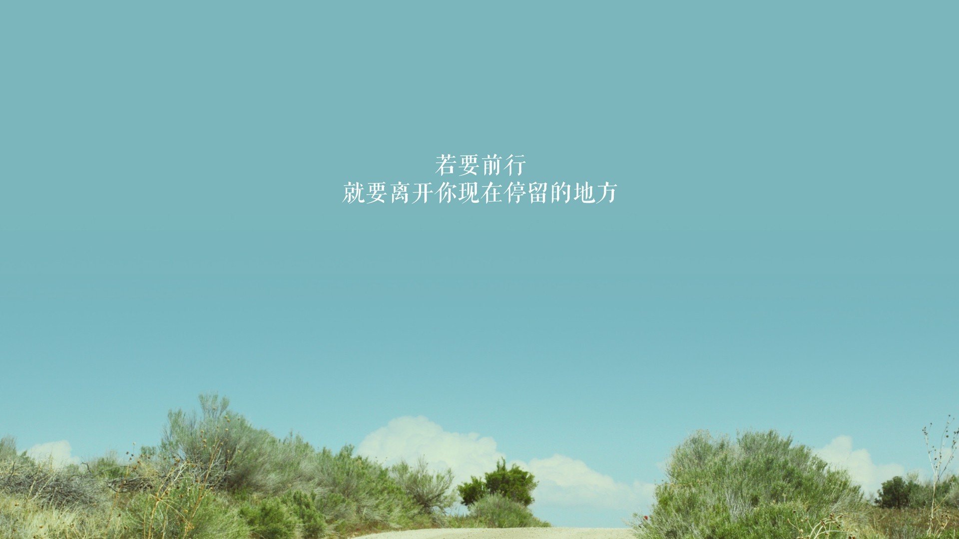 未来“欧洲新星”崭露头角，欧冠舞台的璀璨未来，欧冠准备
