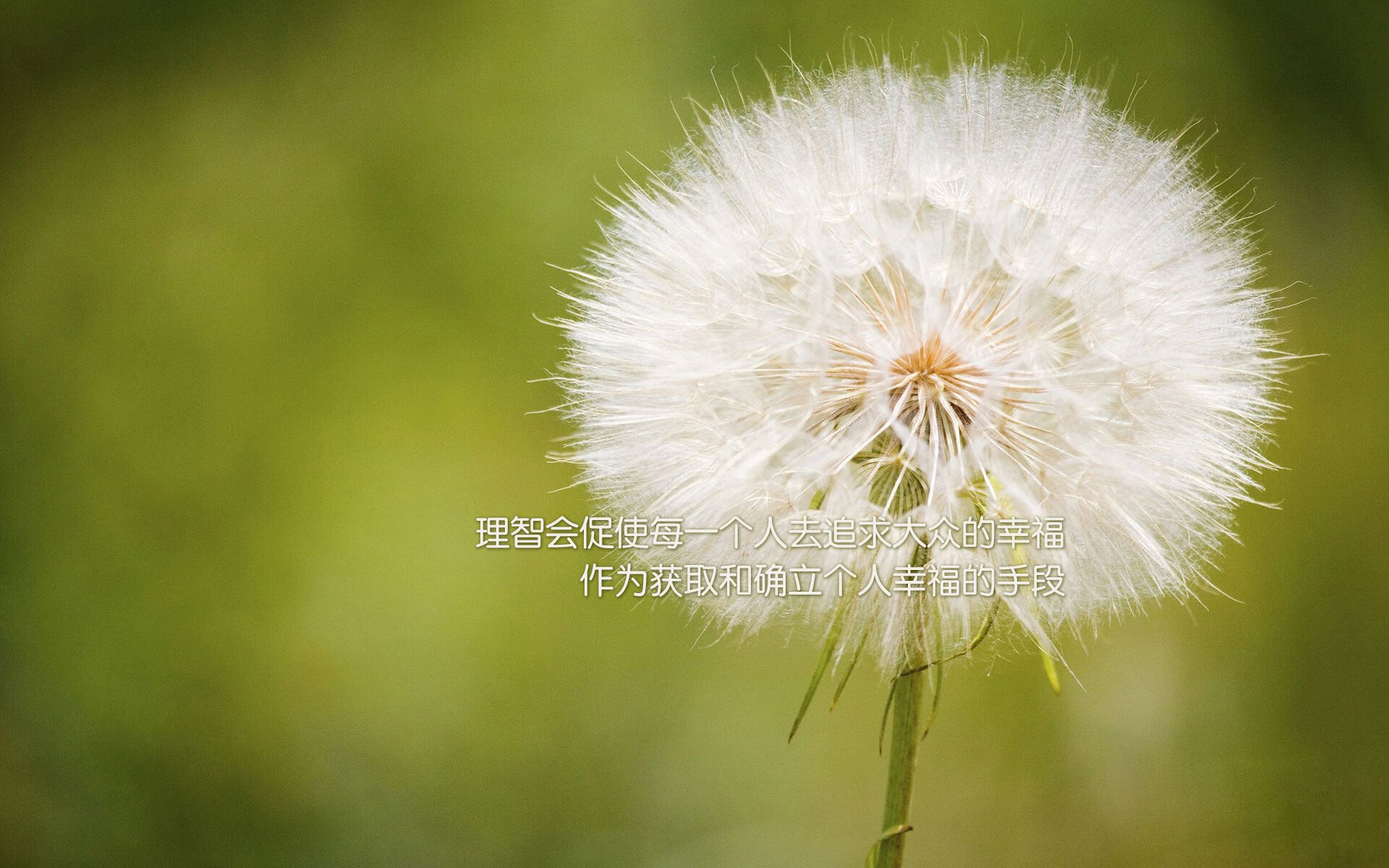 西班牙《马卡报》：瑞士雪地足球开创“极地控球”流派