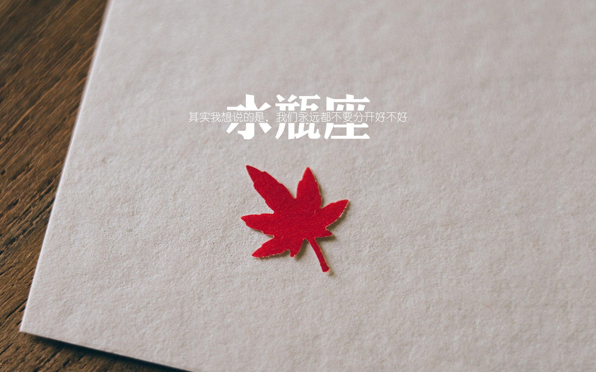 2026世界杯：新一代智能球员装备引发行业革命，2026世界足球杯