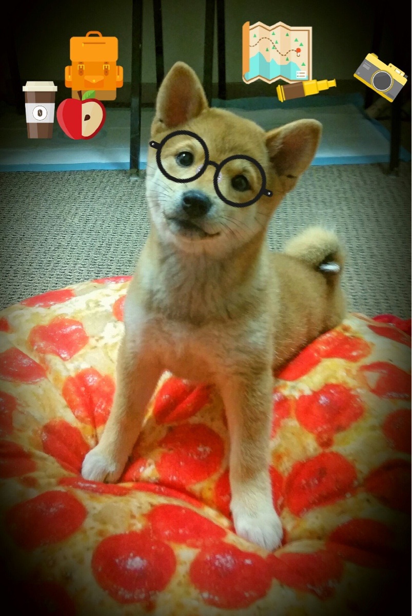 塞拉利昂男篮在国际赛场中精彩表现，体育发展步入快车道